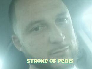 Stroke_of_penis