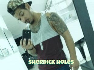 Sherdick_holes