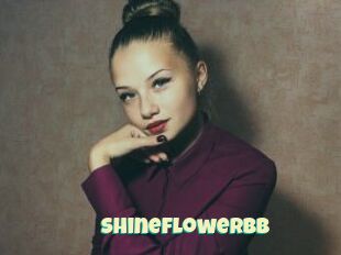 Shineflowerbb