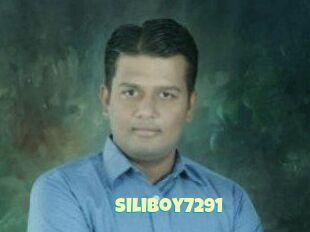 Siliboy7291