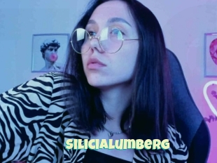 Silicialumberg