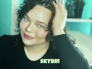 Skybri