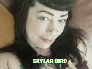 Skylar_bird