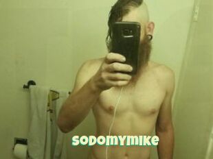 Sodomymike