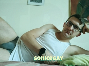 Sonicegay