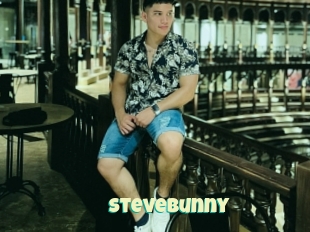 Stevebunny