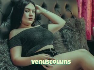 VenusCollins