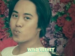 WILD_VELVET