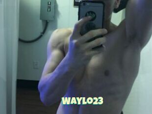 Waylo23