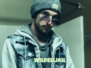 WildElijah