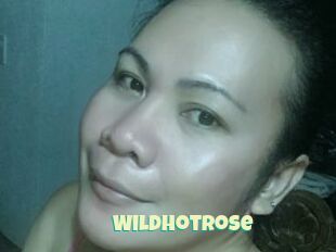 WildHotRose