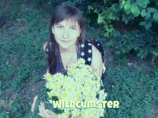 Wildcumster