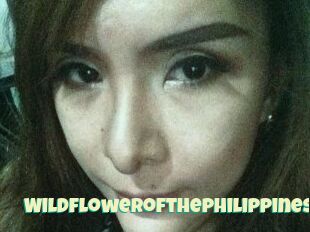 Wildflowerofthephilippines