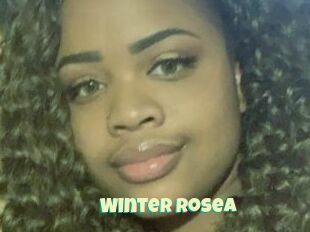 Winter_Rosea