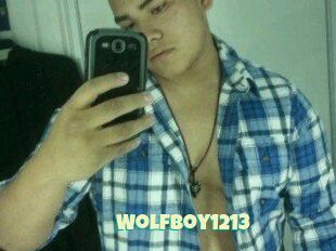 Wolfboy1213