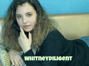 Whitneydiligent