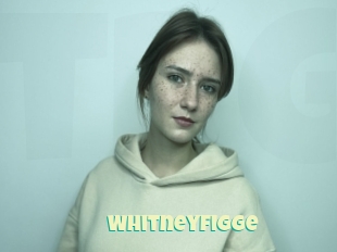 Whitneyfigge