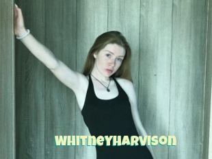 Whitneyharvison