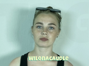 Wilonacaudle