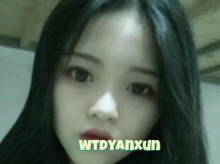 Wtdyanxun