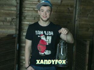 XandyFox