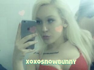 Xoxosnowbunny