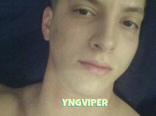 YNGVIPER