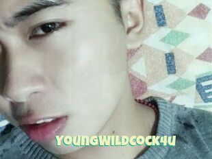 YoungWildCock4u