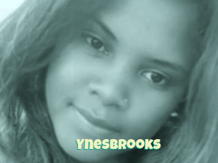 Ynesbrooks