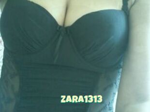 ZARA1313