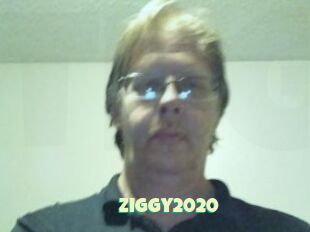 Ziggy2020